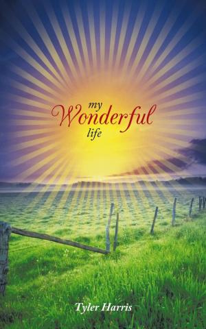 Cover of the book My Wonderful Life by Betsy Howard, Leland William Howard