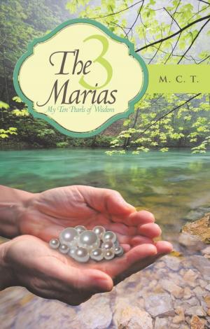 Cover of the book The 3 Marias by J. Max Taylor