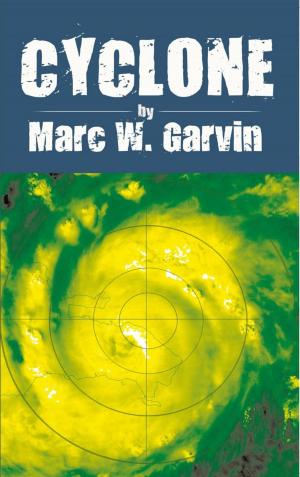 Cover of the book Cyclone by Maude Rückstühl