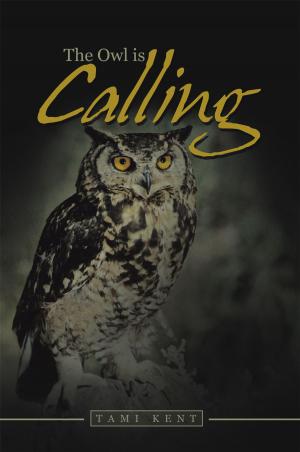 bigCover of the book The Owl Is Calling by 