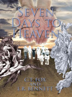 Cover of the book Seven Days to Heaven by RICHARD L CEDERBERG