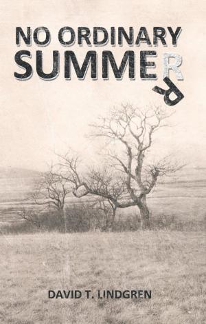 Cover of the book No Ordinary Summer by D. Bogart