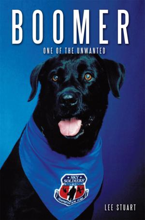 Cover of the book Boomer by A.G. Brewster