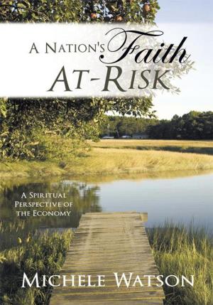 Cover of the book A Nation's Faith At-Risk by Temitayo Olugbenga Okutubo