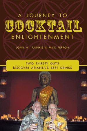 Book cover of A Journey to Cocktail Enlightenment