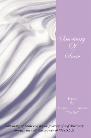 Cover of the book Sanctuary of Snow by Santiago Camarena
