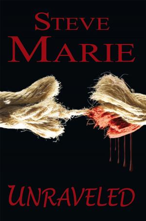 Cover of the book Unraveled by Ann Brophy