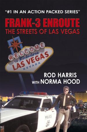 bigCover of the book Frank-3 Enroute by 