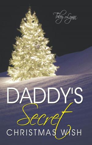Cover of the book Daddy's Secret Christmas Wish by Daniel McTeigue