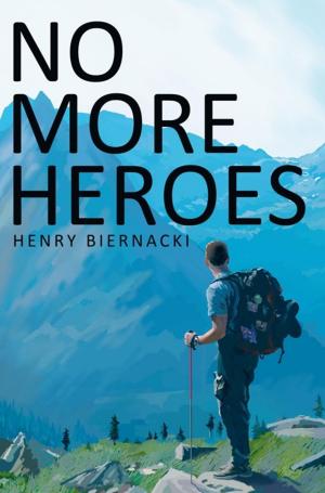 Cover of the book No More Heroes by Anthony Fontana