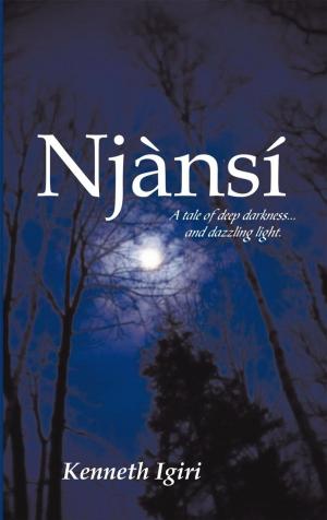 Cover of the book Njànsí by S.T. Underdahl