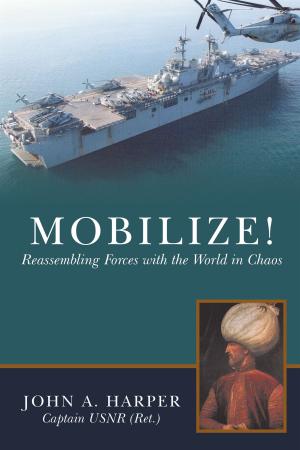 Cover of the book Mobilize! by Jorge Bordenave MD FACP
