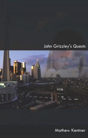 Cover of the book John Grizzley's Quests by Evan Willnow