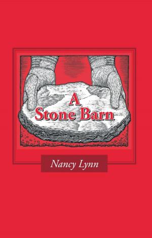Cover of the book A Stone Barn by Douglas Davis