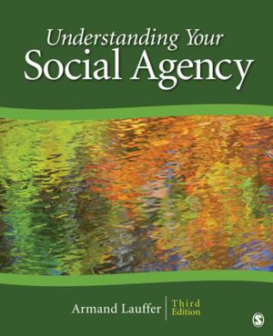 Cover of the book Understanding Your Social Agency by Moshoula J. Capous-Desyllas, Karen L. Morgaine