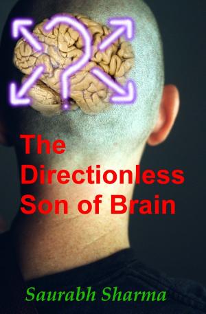 Cover of the book The Directionless Son of Brain by Ju Ephraime