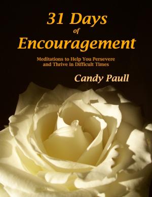 Book cover of 31 Days of Encouragement: Meditations to Help You Persevere and Thrive in Difficult Times