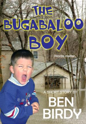 Cover of the book The Bugabaloo Boy by Terri Darling