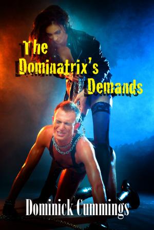 Cover of the book The Dominatrix's Demands by Michael Holloway Perronne