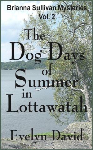 Book cover of The Dog Days of Summer in Lottawatah