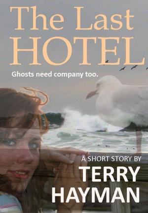 Book cover of The Last Hotel