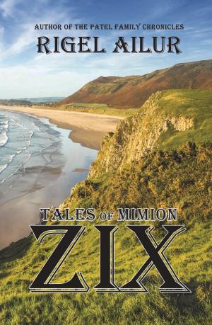 Cover of the book Zix by Kris Katzen