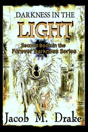 Cover of the book Darkness in the Light by J Hawk