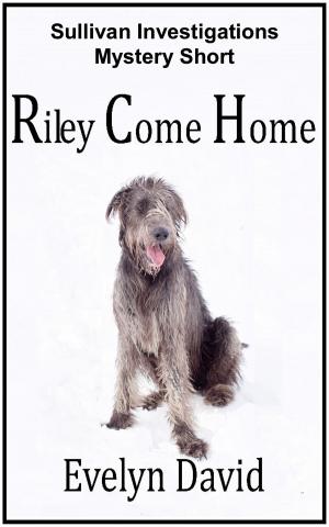 Cover of Riley Come Home