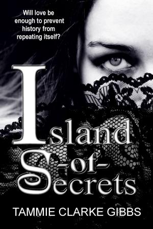 Book cover of ISLAND OF SECRETS: Time Travel, Gothic Romance