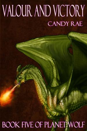 Cover of the book Valour and Victory by Candy Rae