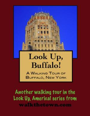 Book cover of Look Up, Buffalo! A Walking Tour of Buffalo, New York