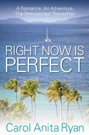 Cover of Right Now Is Perfect: A Romance, An Adventure, The Unexpected Thereafter