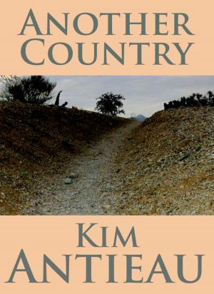 Cover of the book Another Country by Kim Antieau