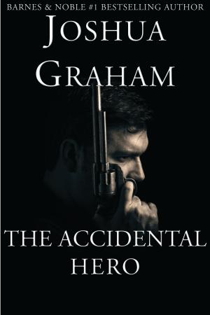 Cover of The Accidental Hero