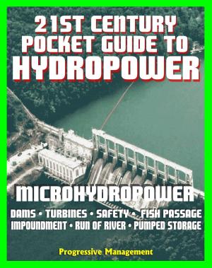 Cover of the book 21st Century Pocket Guide to Hydropower, Microhydropower and Small Systems, Incentives and Funding, Dams, Turbine Systems, Environmental Impact and Fish Passage, History, Research Projects by John K David
