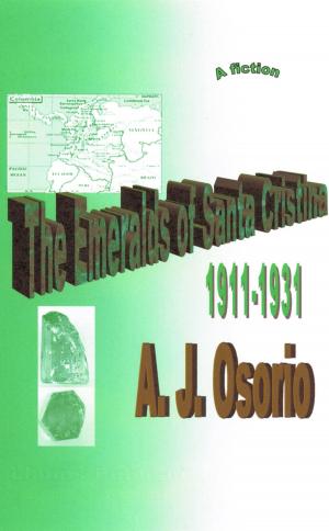 Book cover of The Emeralds of Santa Cristina