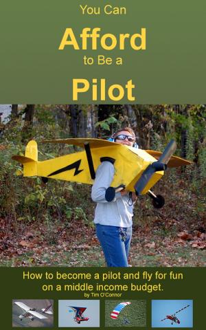 Cover of the book You Can Afford To Be A Pilot by Philipp Köster