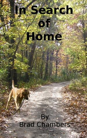 Cover of the book In Search of Home by Brad Chambers