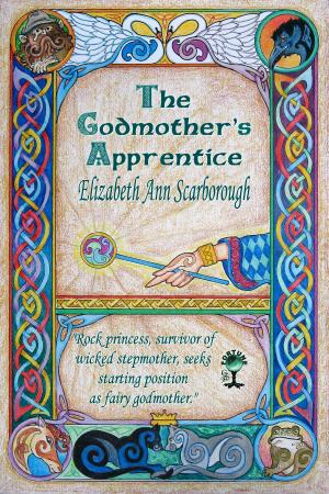 Cover of the book The Godmother's Apprentice by Mike Casto