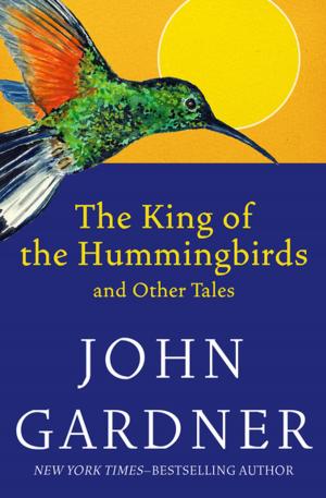 Cover of the book The King of the Hummingbirds by Richard Fliegel