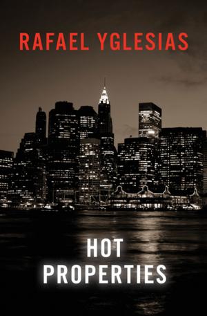 Book cover of Hot Properties