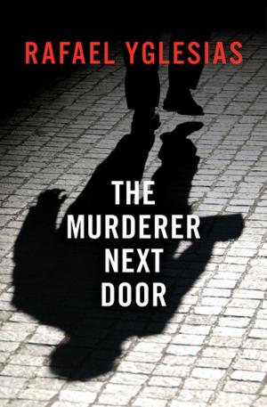 Book cover of The Murderer Next Door