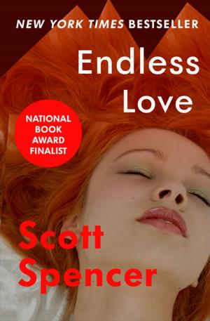 Cover of the book Endless Love by Shey Stahl