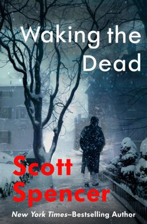 Cover of the book Waking the Dead by Emily Hahn