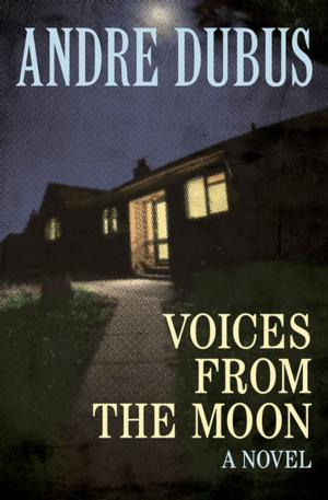 Cover of the book Voices from the Moon by George Alec Effinger