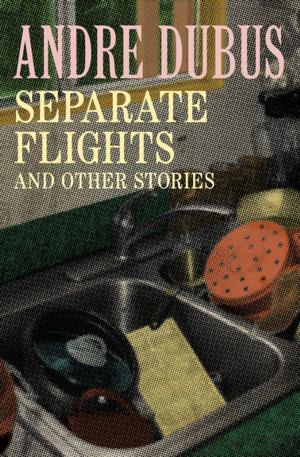 Cover of the book Separate Flights by Marco Vassi