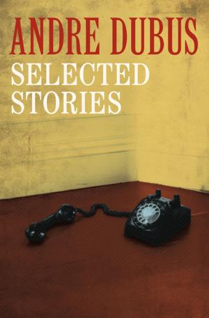 Cover of the book Selected Stories by Raven M. Williams