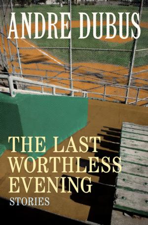 Cover of the book The Last Worthless Evening by Deborah Gregory