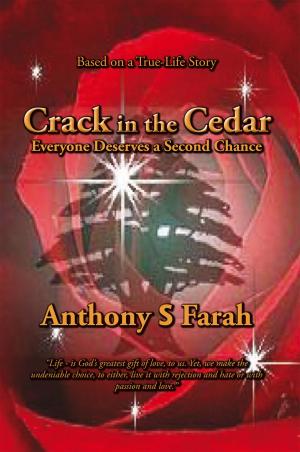 Book cover of Crack in the Cedar