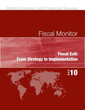 Cover of the book Fiscal Monitor, November 2010 by Bas B. Bakker, Christoph Klingen